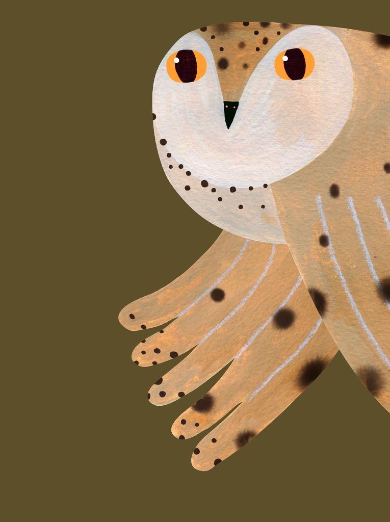 Owl Fern poster - Image 2