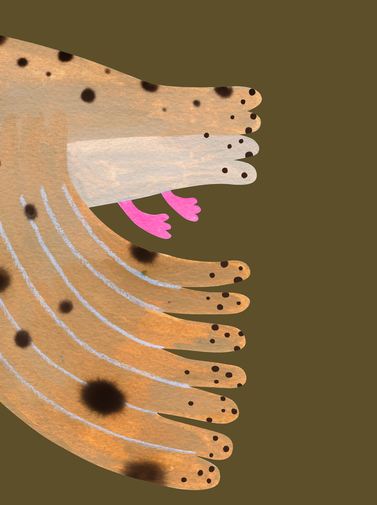 Owl Fern poster - Image 3